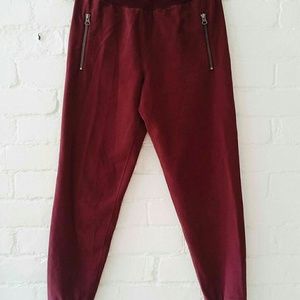 Aritzia joggers
